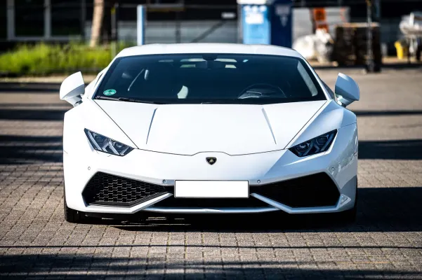 Kasino Dogs Fortune Android/iOS Sovellus